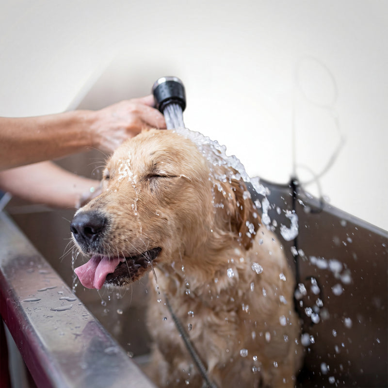 Less bathing. More bonding